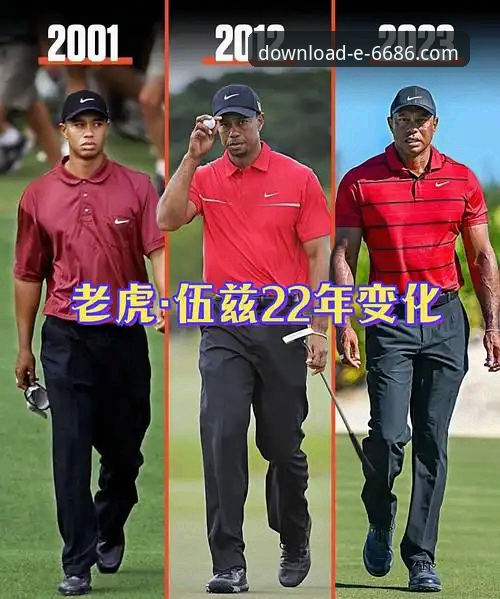 3个关键转折点解析伍兹困境：从高尔夫传奇到药物风波，6686官方平台见证赛场内外